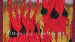 Highwarp Tapestry - Desert Pea